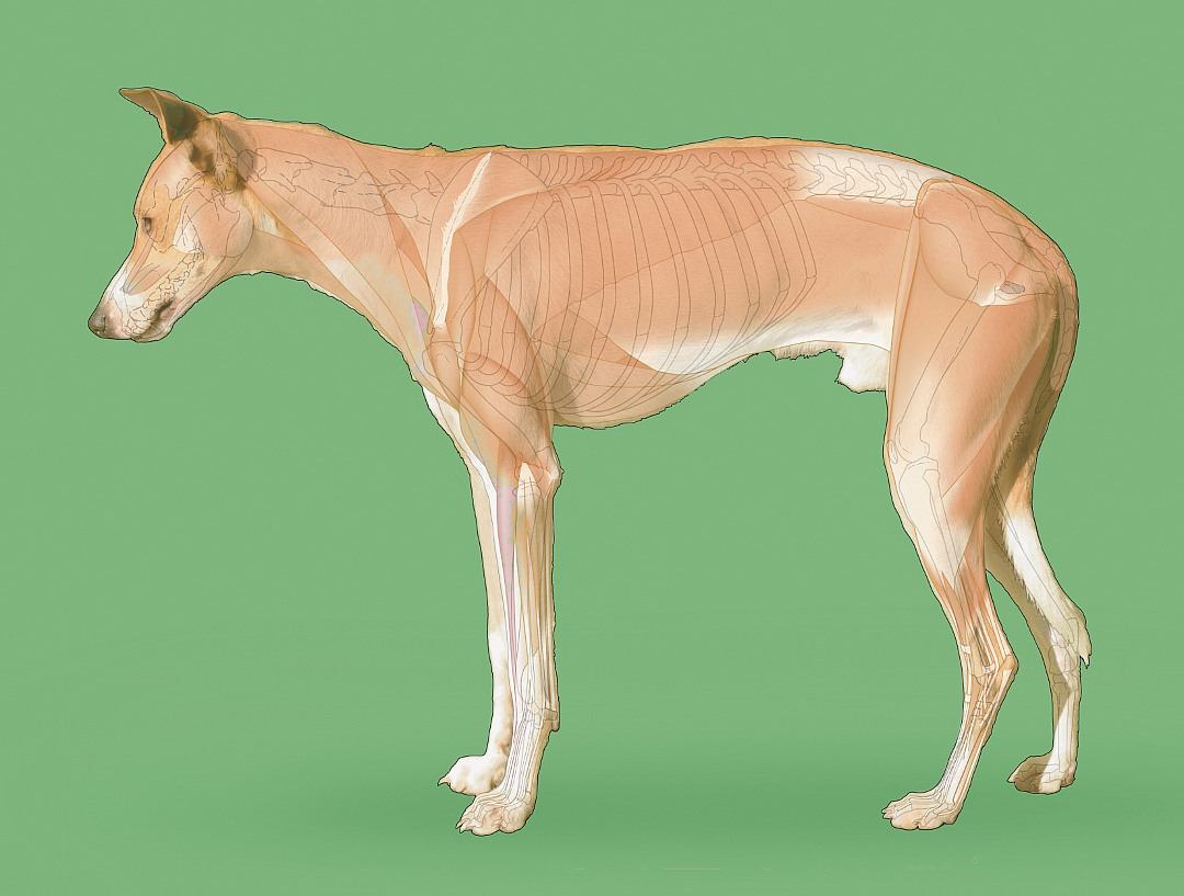 Karte: Seitenansicht